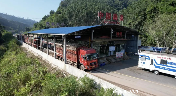 中老铁路，铁路集装箱运输