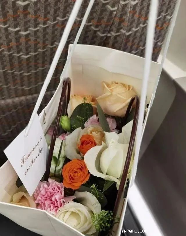 中老铁路货运,铁路集装箱