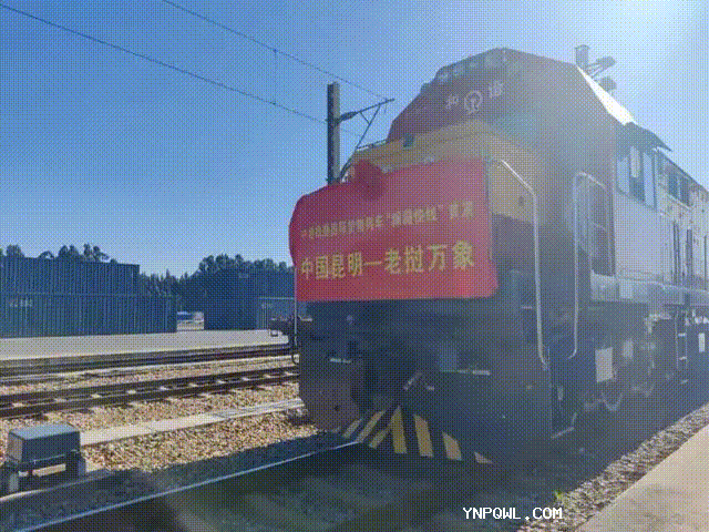 中老铁路国际货物列车“澜湄快线