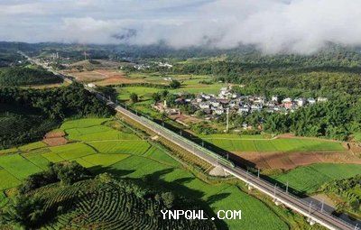 中老“黄金线路”打开中老两国交流互鉴、共促发展