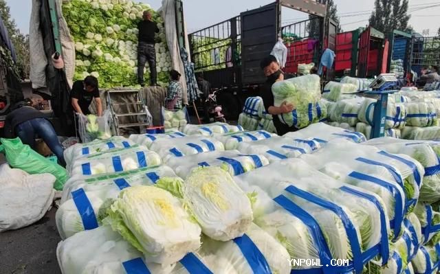 中老铁路 快速满足人们对“新鲜”的追求