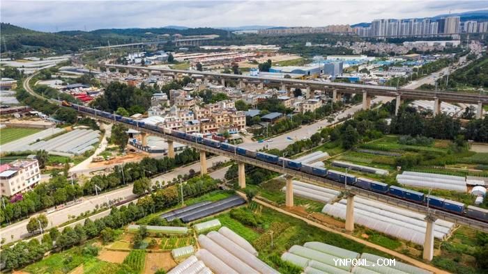 中老铁路沿线的产业布局将为经济发展奠定坚实基础