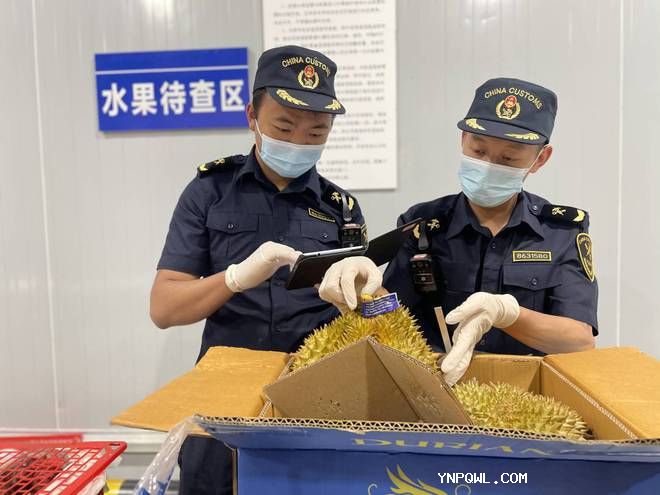 中老铁路水果运输 