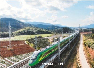 中老铁路客旺货畅实现新年开门红