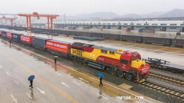 中老铁路运输的货物主要采用哪些运输方式？