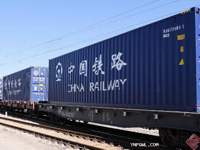 轮胎货物在中老铁路运输过程中如何进行装卸操作？